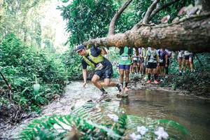 BIB: 
                            <button type="button" onclick="openModal(25468605)" class="btn btn-primary btn-sm float-right btn-popup" data-toggle="modal" data-target=".modal-high-quality">
                        <i class="fas fa-shopping-cart"></i> Add to Cart
                    </button>
                                            <button type="button" onclick="isThisMe(25468605, true)" class="btn btn-success btn-sm float-right btn-popup btn-isme hidden" data-toggle="tooltip" data-placement="bottom" title="นี่คือรูปของคุณใช่ไหม คลิกที่นี่เพื่อเอาเข้าอัลบั้ม">
                        <i class="fas fa-plus"></i> Add to album
                    </button>
                    <button type="button" onclick="isThisMe(25468605, false)" class="btn btn-warning btn-sm float-right btn-popup btn-isnotme hidden">
                        <i class="fas fa-ban"></i> Remove from album
                    </button>